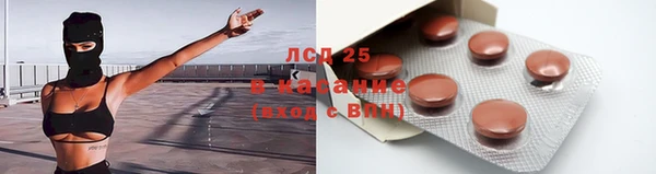 ПСИЛОЦИБИНОВЫЕ ГРИБЫ Липки