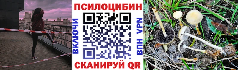 Псилоцибиновые грибы прущие грибы закладки Покачи